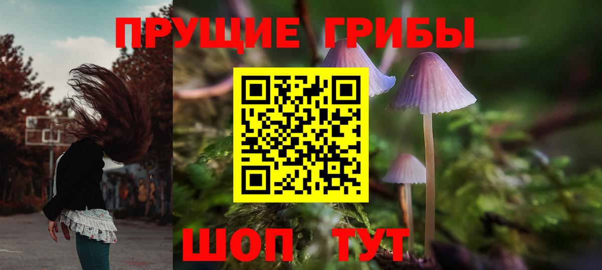 Псилоцибиновые грибы мицелий  Вход с VPN  Камень-на-Оби 